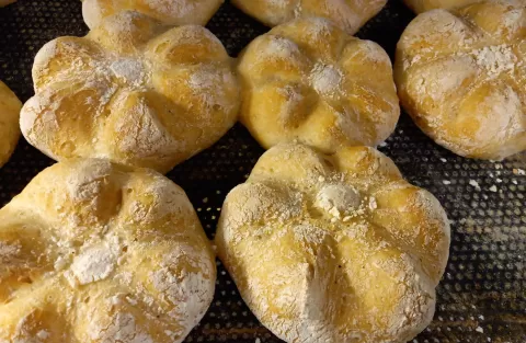 Ristomacelleria gastronomia d'Ale | le Specialità