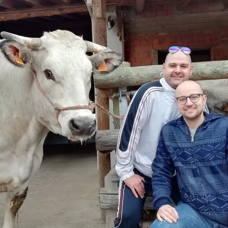 Ristomacelleria d'Ale | Bue Piemontese